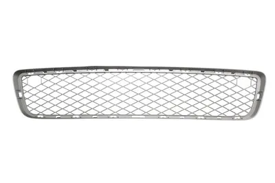 Capac bara fata Inferior/Mijloc, titan potrivit BMW X5 E70 2006-2013 2007-2010
