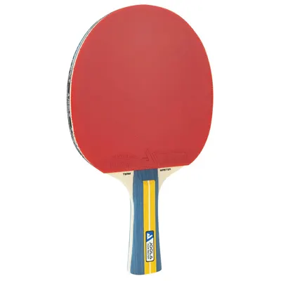 Paleta Joola Team Master - pentru tenis de masă interior, viteză și control