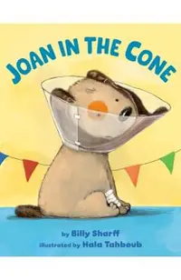 Joan in the Cone