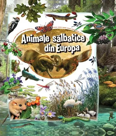 Animale sălbatice din Europa - Paperback brosat - ***