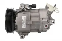 Compresor climatizare potrivit NISSAN QASHQAI I 1.6 1.6LPG 02.07-04.14