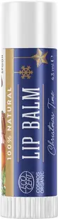 Wooden Spoon Balsam de buze Christmas Time, 4.3 ml