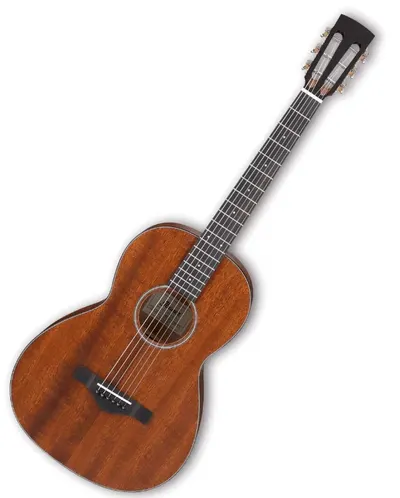 Chitara acustica Ibanez - AVN9, Open Pore Natural