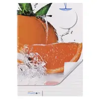 Caiet A5 Tip II, Romprax | 24 file