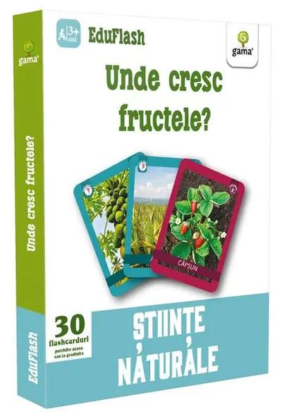 Unde cresc fructele? EduFlash - Paperback brosat - ***