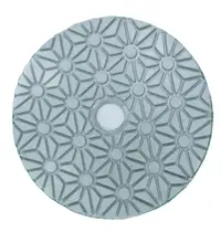 Paduri / dischete diamantate flexibile pt. slefuire uscata, rasina, Ø100mm #1000 - DXDY.DRYPAD.PAS3