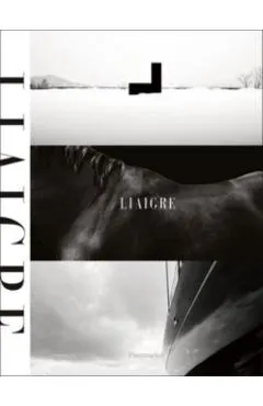 Liaigre: 12 Projects