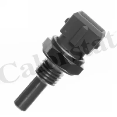 Senzor temperatura lichid racire CALORSTAT by Vernet WS2587