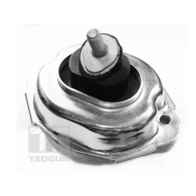 Suport motor TEDGUM 00088534