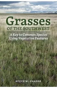 Grasses of the Southwest: A Key to Common Species Using Vegetative Features