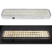 Corp emergenta 60 LED nepermanent Adeleq 19-916/N
