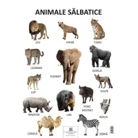 Planșă - Animale sălbatice - Paperback - ***