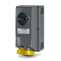 Priza interblocabilan16A 2P+E 4h 100-130V II 2D 130X260MM_PAR terminal cu surub Cu interblocaj mecanic