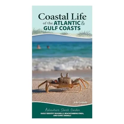 Coastal Life of the Atlantic and Gulf Coasts
