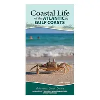 Coastal Life of the Atlantic and Gulf Coasts