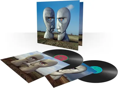 The Division Bell - Vinyl