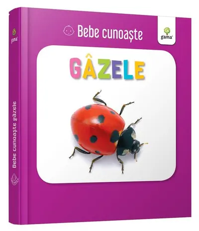 Gâzele. Bebe cunoaște - Board book - ***