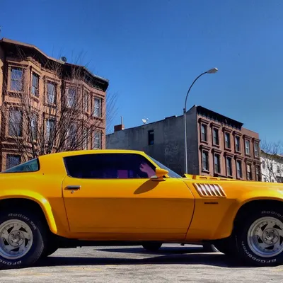 1000 Cars of NYC