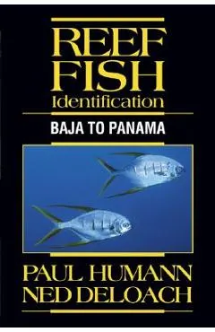 Reef Fish Identification: Baja to Panama
