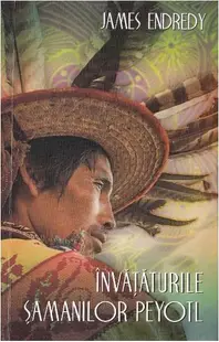 Învățăturile șamanilor Peyotl. Cele cinci puncte ale atenției - Paperback brosat - James Endredy