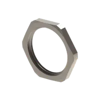 Piulita pentru presetupa, PG21, stainless steel