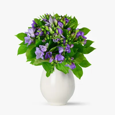 Buchet de 19 frezii mov