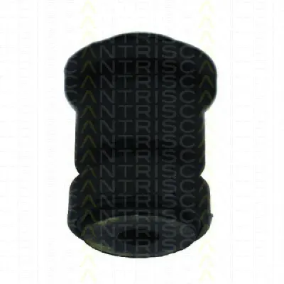 Bucse brat suspensie TRISCAN 8500 16813