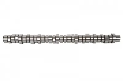 Ax cu Came D13 Potrivit Volvo 9700, 9900, B13, Fh, Fh Ii, Fh Iii, Fm, Fm Ii, Fmx, Fmx Ii, Fmx Iii D13a460-D13k540s 09.05