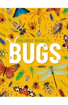 My First Book of Bugs: An Awesome First Look at Insects and Spiders