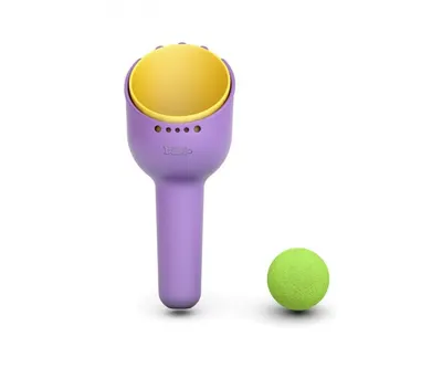 Set de plaja 2 in 1 cu lopatica si grebla RakBi BiBio violet