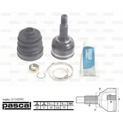 Set articulatie, planetara PASCAL G11057PC