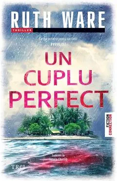 eBook Un cuplu perfect