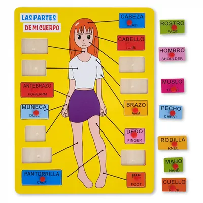 Puzzle din Lemn Descopera Corpul Uman Montessori - Nurio