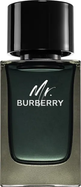 Burberry Apă de parfum Mr. Burberry, 100 ml, tester