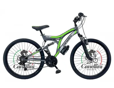 Bicicletă pentru băieți Canellini COLORADO 26" - Titan/Verde