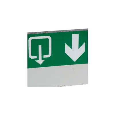 Label - pentru emergency lighting luminaires - exit below cu lift -127x254 mm