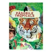 Padurile tropicale