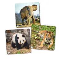 Set de 3 puzzle-uri progresive