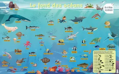 Les Posters Phosphorescents - Le fond des oceans