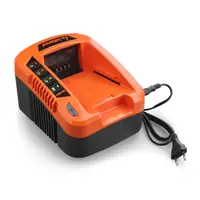 Incarcator Acumulatori Redback EC20, 40V, 2A