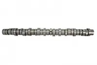 Ax cu Came Potrivit Volvo 9700, 9900, B13, Fh, Fh Ii, Fh Iii, Fm, Fm Ii, Fmx, Fmx Ii, Fmx Iii D13a380-D13k420s 09.05-