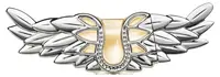 Apă de parfum Zadig & Voltaire Zadig, 50 ml