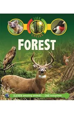Life Cycles: Forest