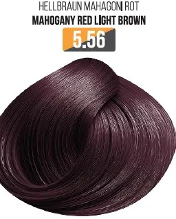Vopsea Profesionala Fara Amoniac EVOQUE USA, Nuanta 5.56 MAHOGANI RED LIGHT BROWN - Cu Ulei de Argan si 12 Aminoacizi, 100 ml - Evoque