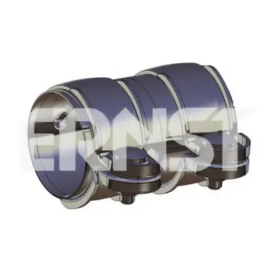 Ernst 290500