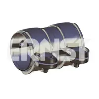 Ernst 290500