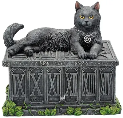Cutie de tarot Nemesis Now Adult: Gothic - Fortune's Watcher, 17 cm
