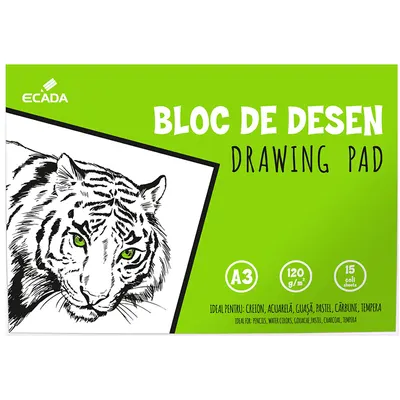 Bloc de desen A3, 15file, 120g/mp, Ecada