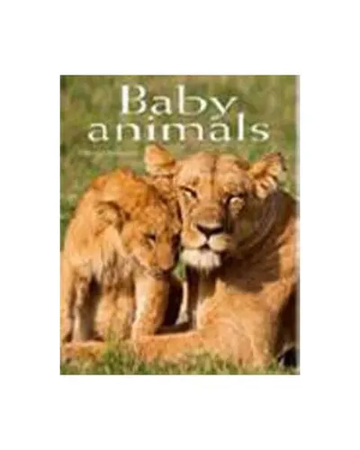 Baby Animals. Pocket Book - Hardcover - ***