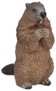 Figurina Papo Wild Animal Kingdom – Marmota